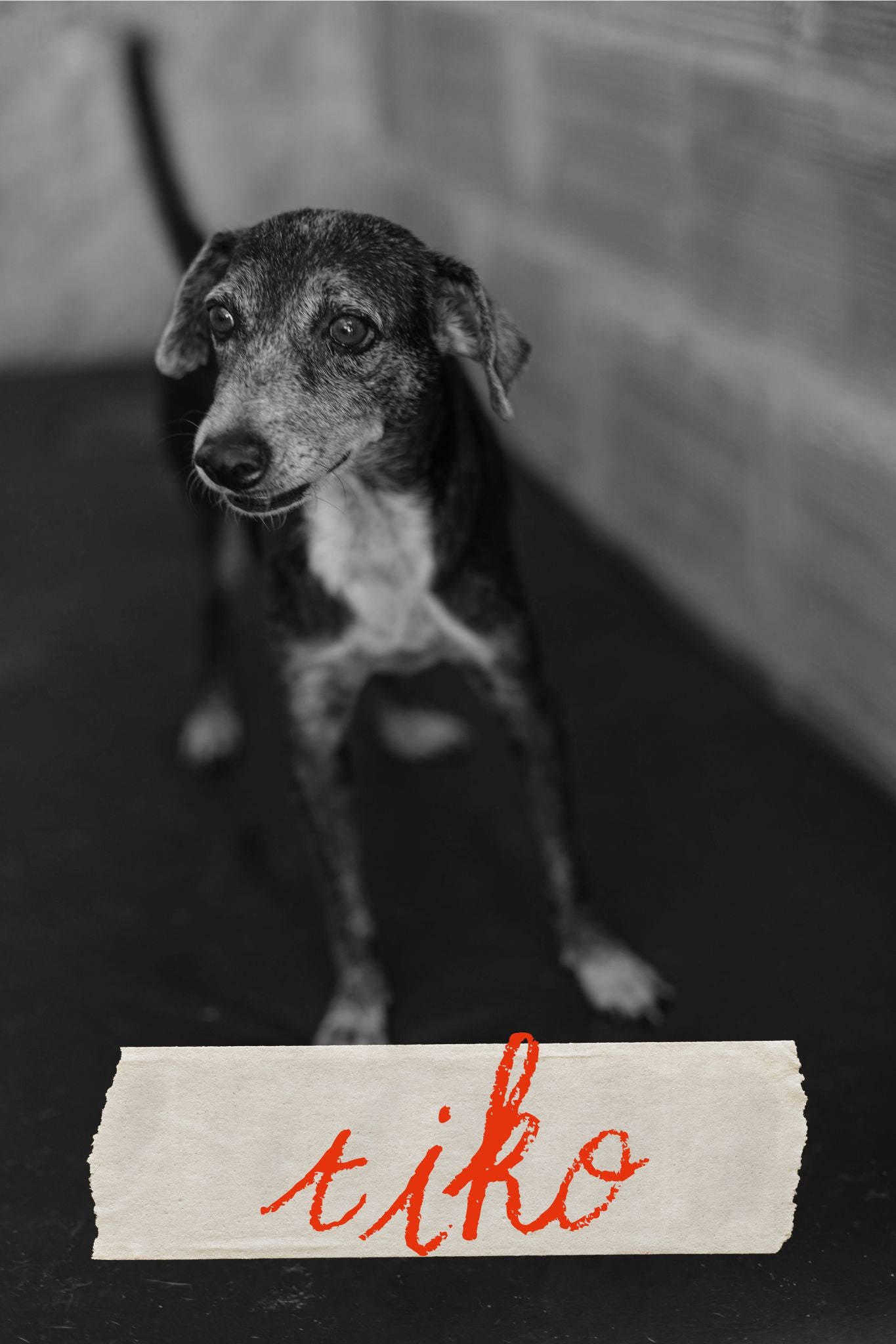 TIKO
